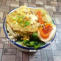 新たまねぎかき揚げべんとう 😋