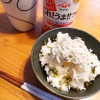 しらすとしその実のせご飯