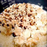 ぽきさんの焼売の炊き込みご飯～♪♪