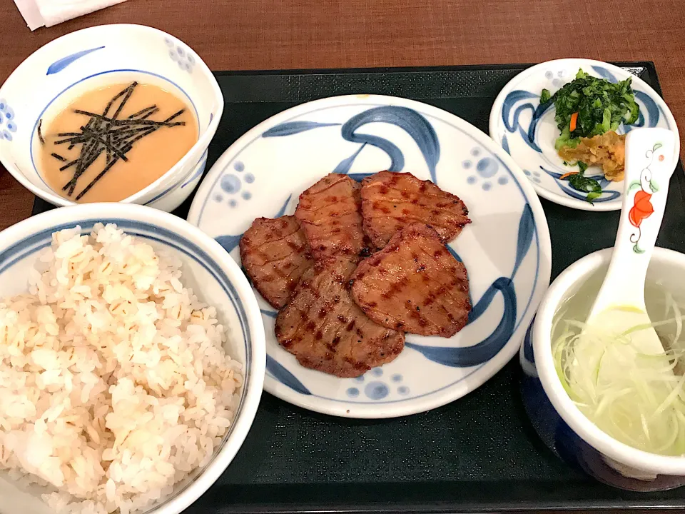 Snapdishの料理写真:ねぎしセット|Pioさん