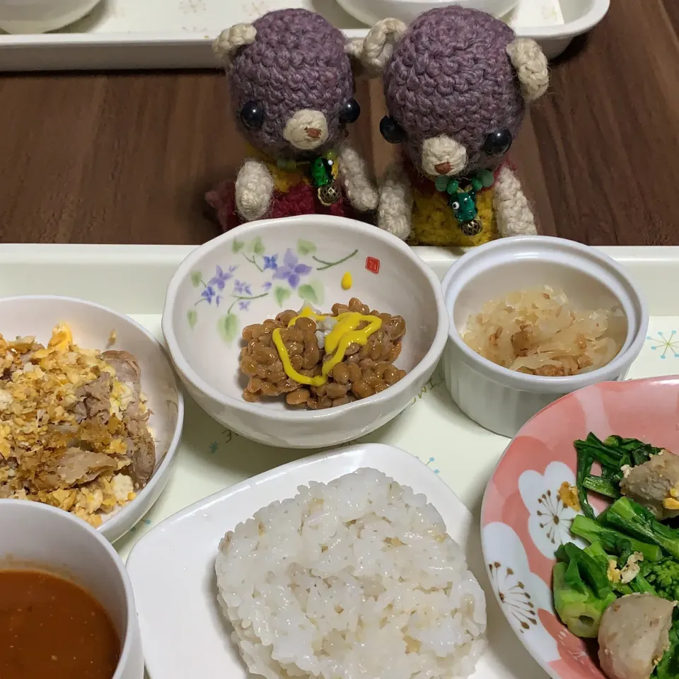 Snapdishの料理写真:塩麹を作ったので納豆にも入れてみた晩ごはん（≧∇≦）|chagashiさん