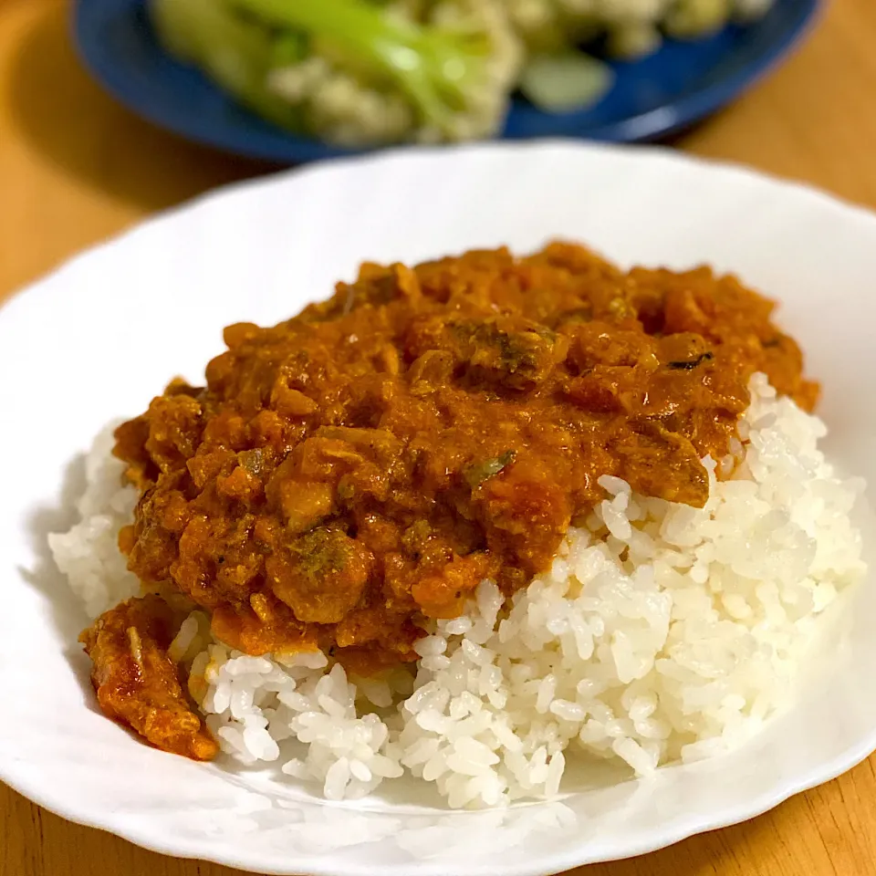 はじめてのスパイスカレー|けんたろうさん