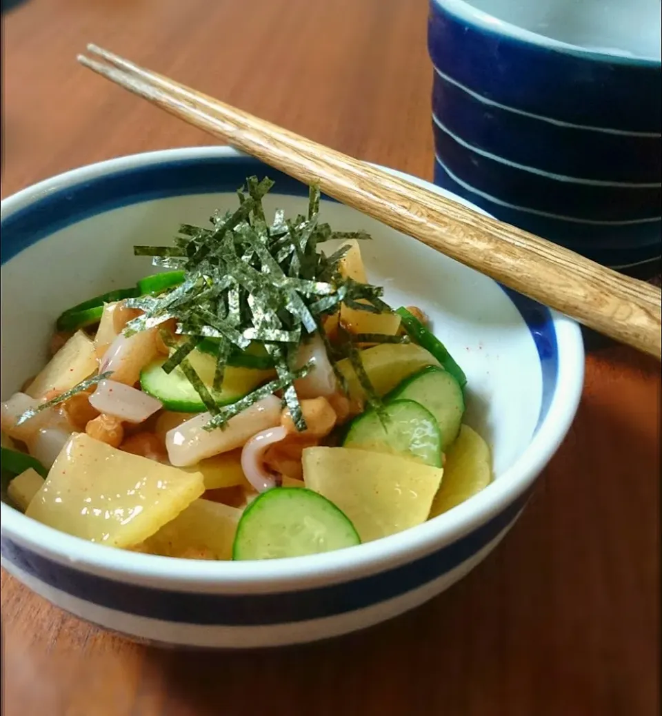 ｲｶ納豆たくあんきゅうり|まりおさん