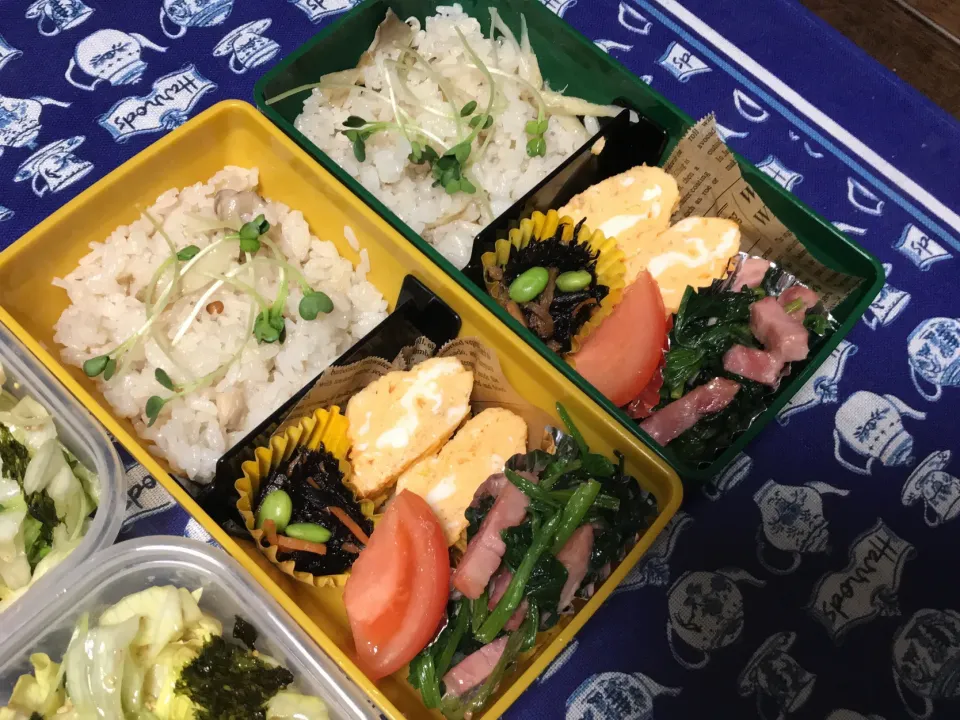 Snapdishの料理写真:ごぼう炊込みご飯のお弁当|mettiさん