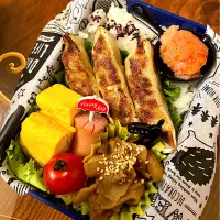 Snapdishの料理写真:餃子弁当|yakkoさん