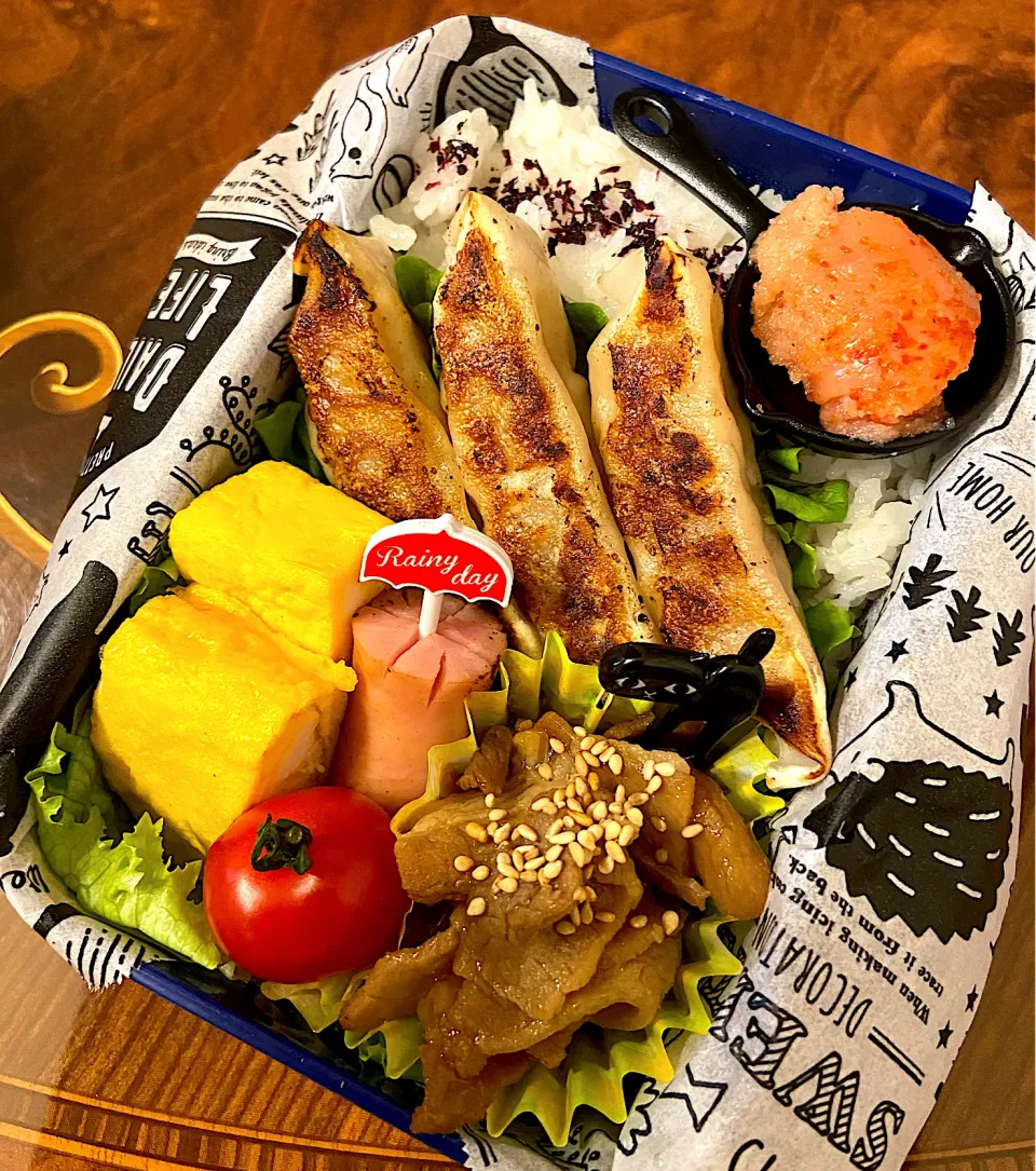 Snapdishの料理写真:餃子弁当|yakkoさん