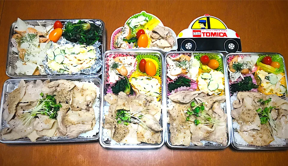 Snapdishの料理写真:「引越し片付け手伝い差し入れ弁当」|バシュランさん