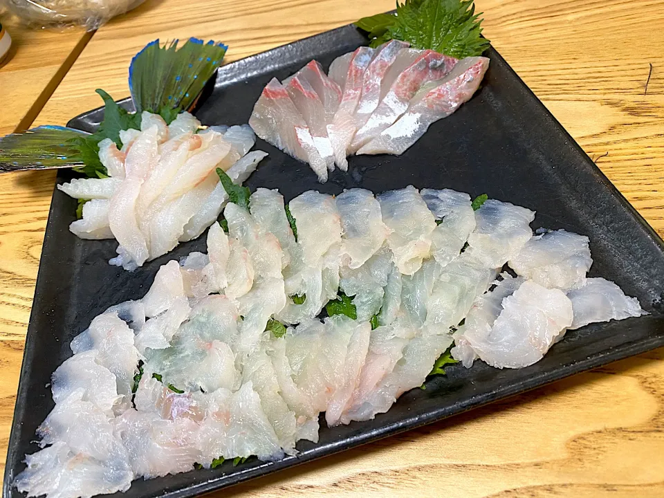 鮮魚直売店で活〆ホウボウ400円、虎魚700円、ヒラマサが安かったので刺し盛りに。ホウボウは鰭が刺々しいので下ろす際に要注意|さくたろうさん