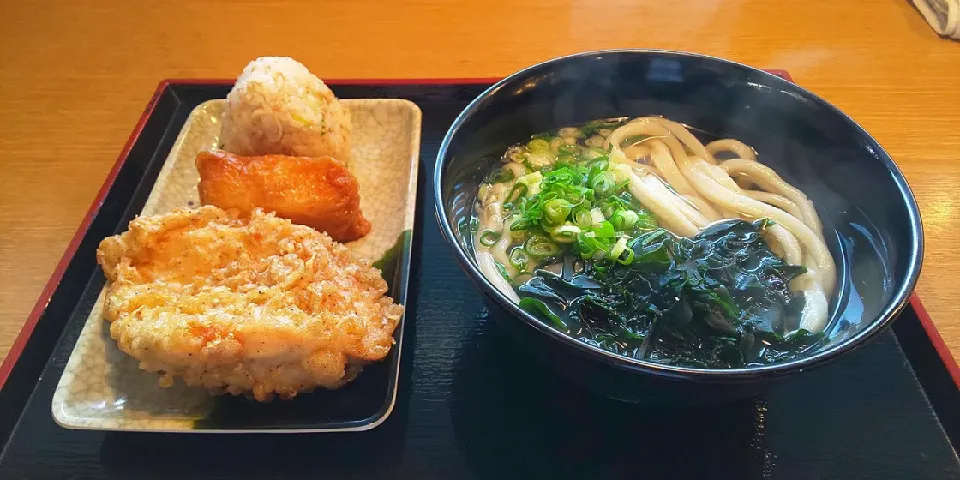 かけうどん
かしわ天トッピングして鶏めしといなり|kamekameさん