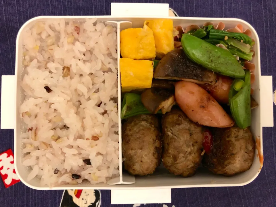 Snapdishの料理写真:ハンバーグ弁当|freeさん