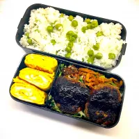 ハンバーグ弁当|TakaStarさん