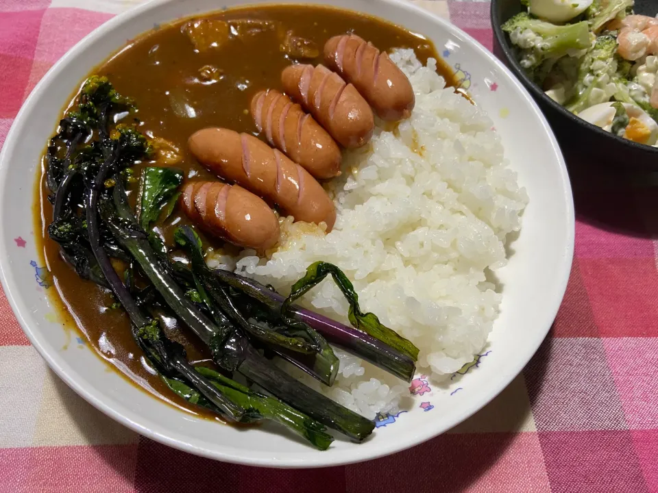 ポークカレー　ウィンナーとコウサイタイのトッピング|ハルのただ飯さん