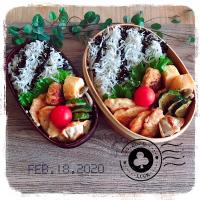 2/18 ☺︎☺︎ 鶏ふわつくね＆しらす丼弁当✩.*˚