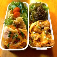 今日の俺弁当！