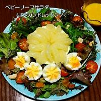 ベビーリーフ&文旦サラダ ポンカンドレッシング🍀#これうまつゆひろめ隊