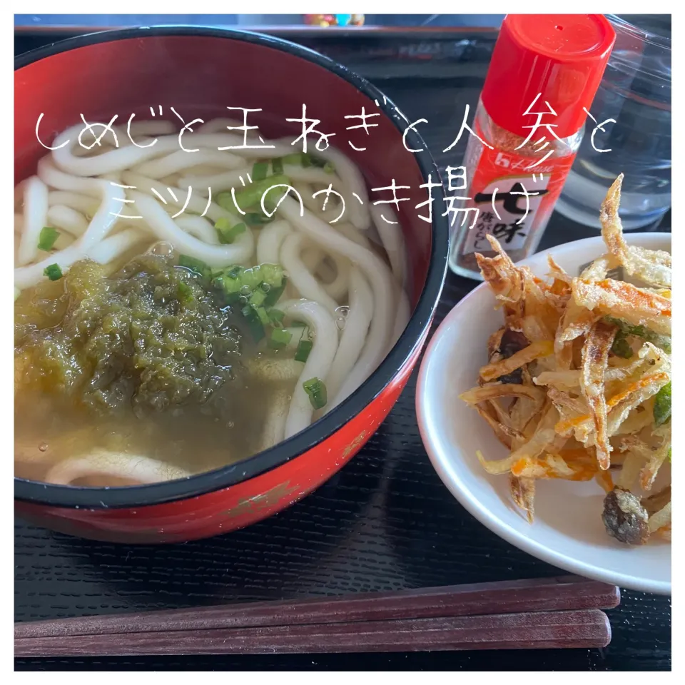 寒い日には、温かいかき揚げうどんはいかが(o^^o)|いのっちさん