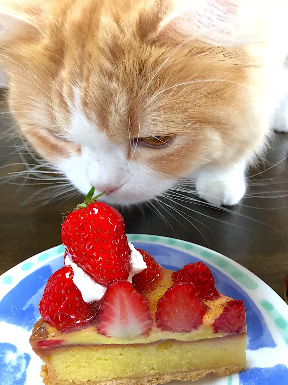 Snapdishの料理写真:いちごタルト🍓|lalapoさん