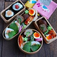 #照り焼きハンバーグ　のお弁当