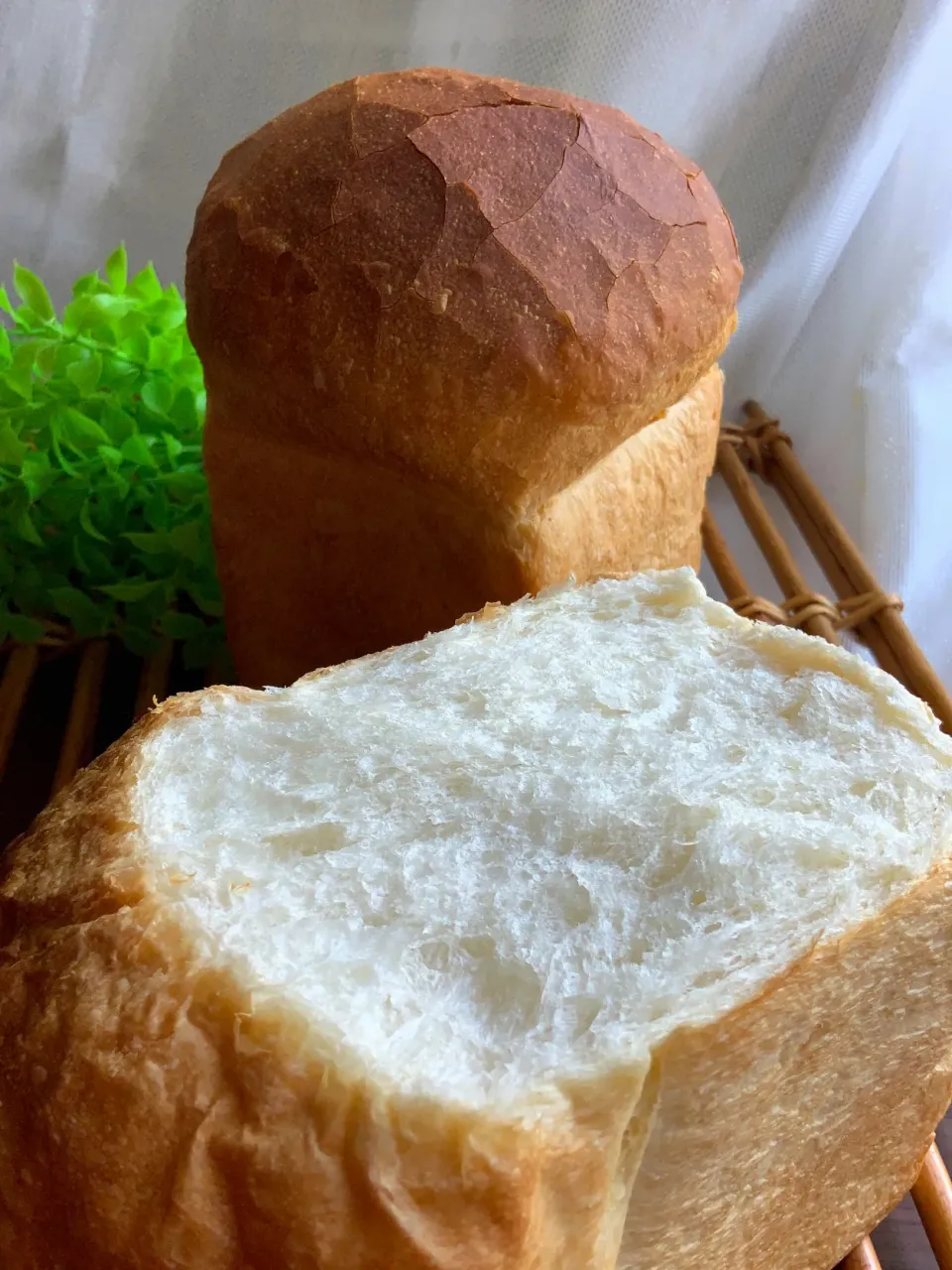 Keitoさんの料理 フランス食パン 

スクエア塩バターフランス|9421beruさん