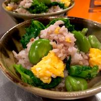 アッチさんの菜の花ごはん🌼もち麦と黒米で空豆入り