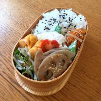 娘ちゃん弁当  鶏マヨ