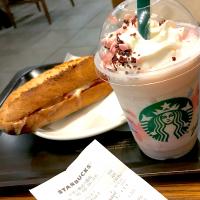 スタバ　サクラ　ミルクプリン　フラペチーノ