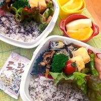 2020 2月20日　高校生息子と旦那弁当