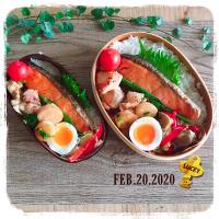 2/20 ☺︎☺︎ 焼き鮭＆ねぎ鶏焼弁当✩.*˚