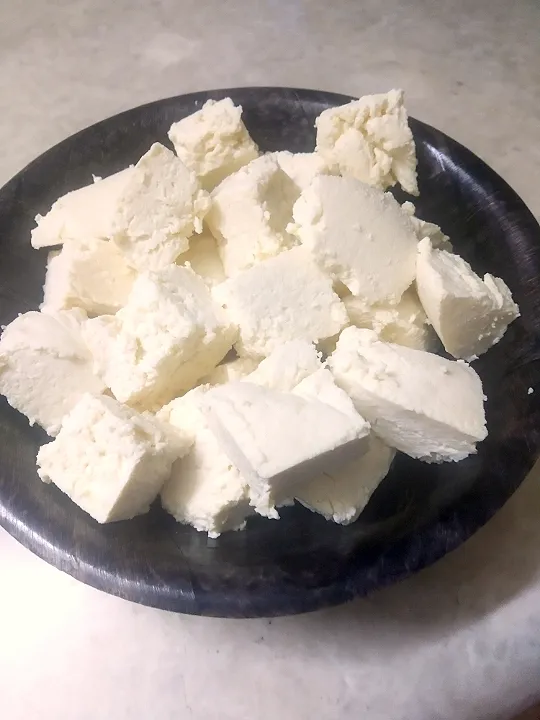 homemade cottage cheese|hinaさん