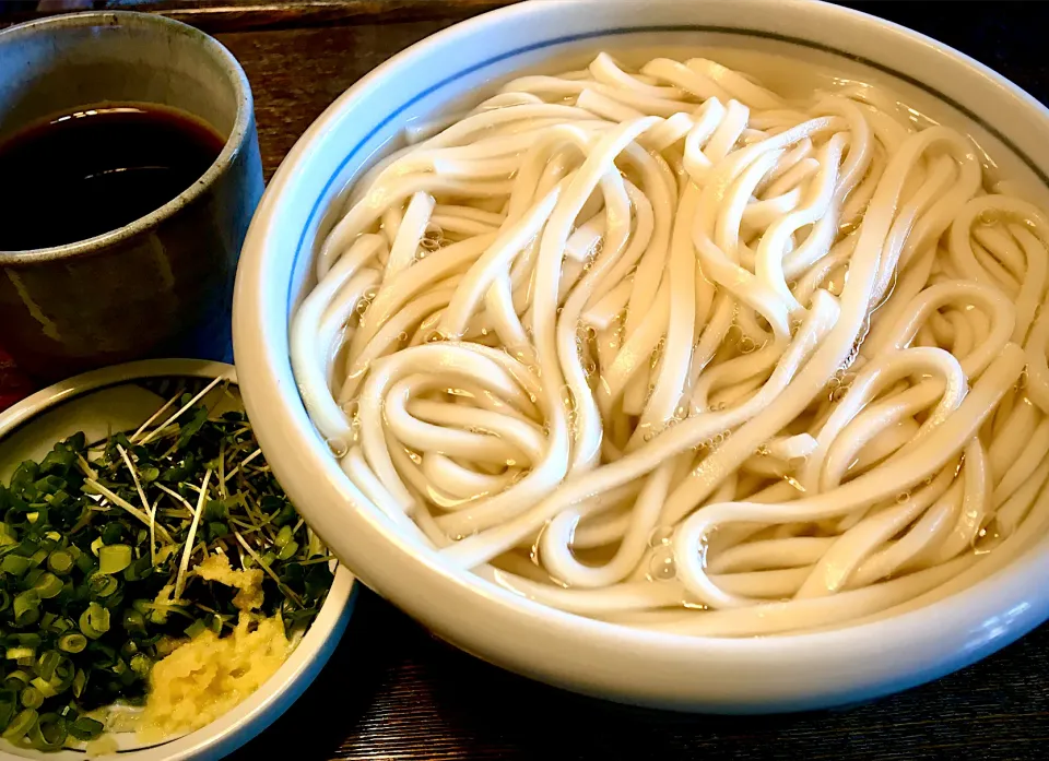 釜揚げうどん(大盛)|mottomoさん