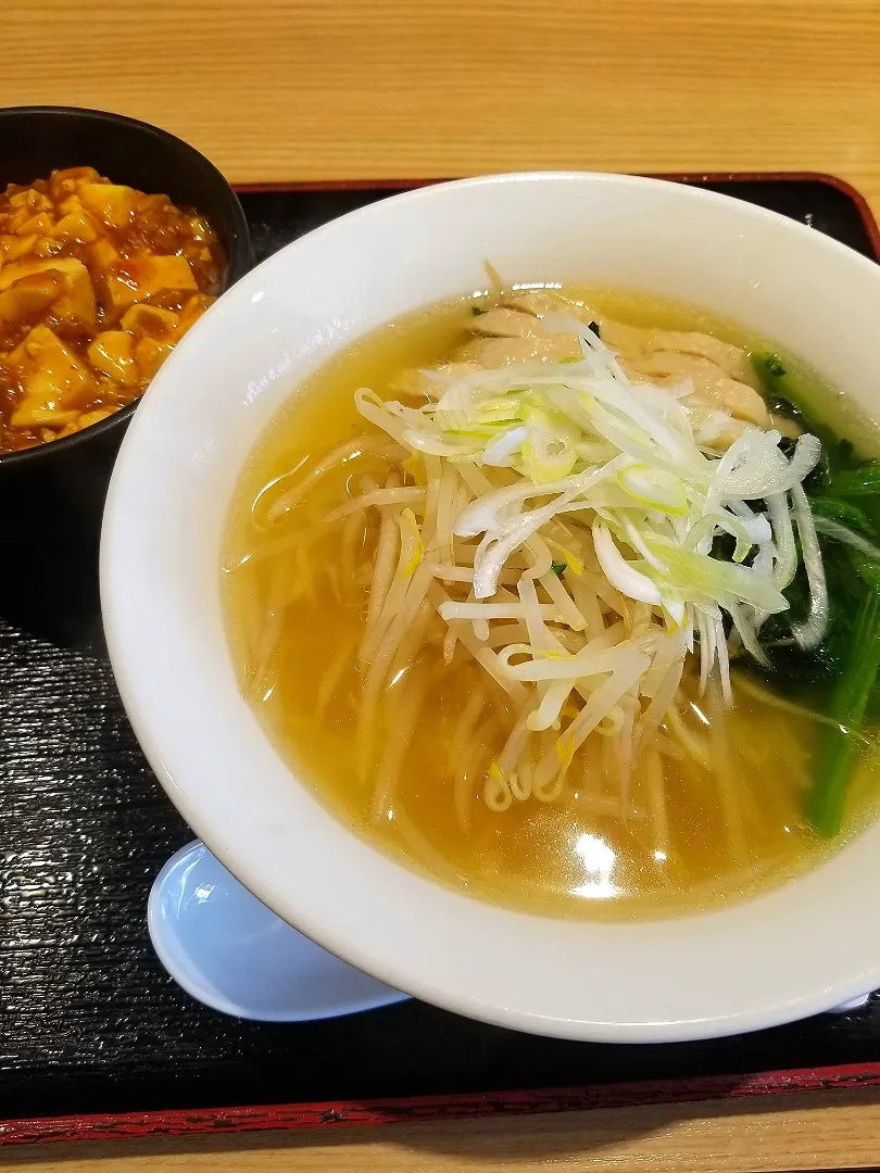 鶏しおラーメンと麻婆豆腐丼|nobさん