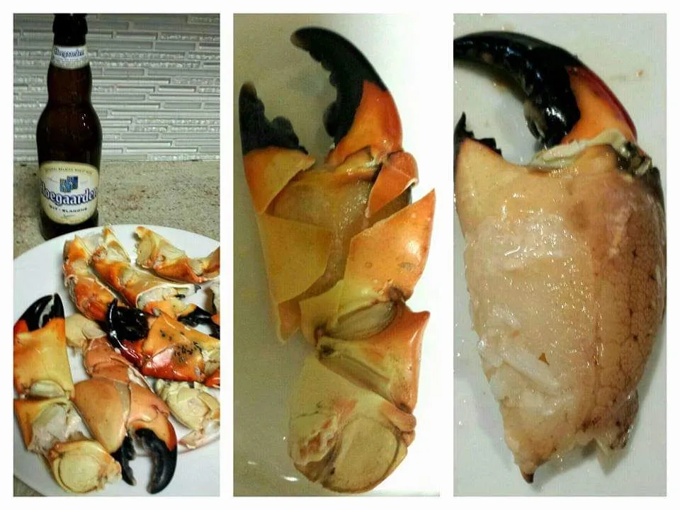 stone crab|steven z.y.さん