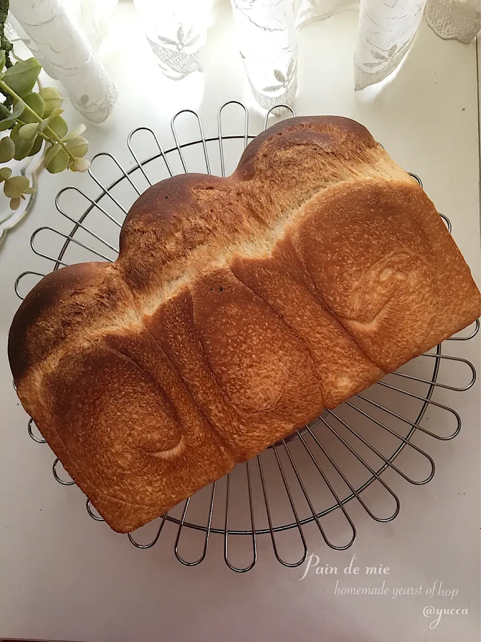 Snapdishの料理写真:ホップ種 de 山食🍞|yucca@さん