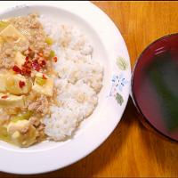 １月１９日　麻婆豆腐　わかめスープ