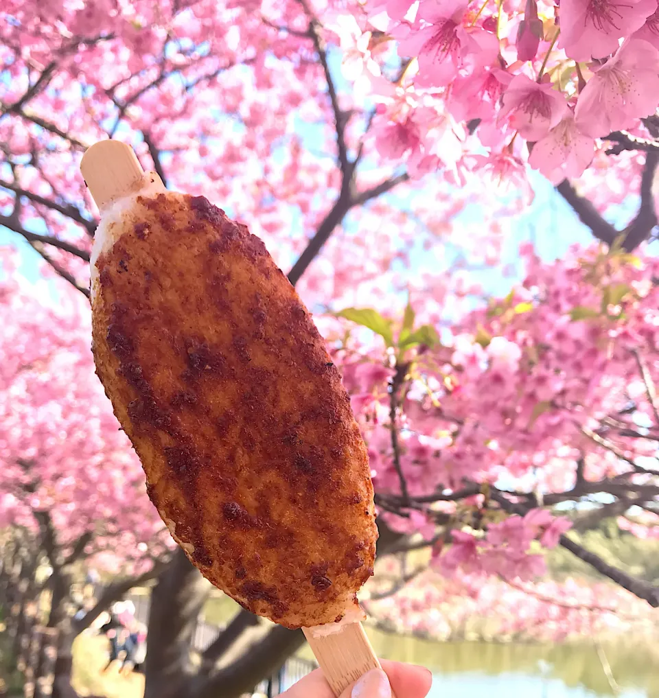 五平餅😋|ナムナムさん