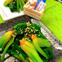 ヒロちゃんの「簡単☘️胡麻和え」