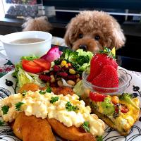 鶏胸肉の照り焼き南蛮風🐓