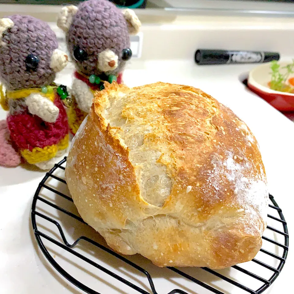 パックリ元気なカンパーニュ焼き立て（≧∇≦）|chagashiさん