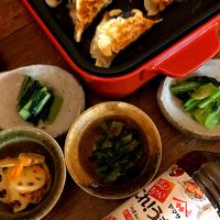 晩ごはん #餃子  #これうまつゆ  #これうまキャンペーン  #これうまつゆひろめ隊  #毎日使っても飽きない美味しさ♪  #小松菜のおひたし  #これうまつゆを使って作った常備菜  #蓮根きんぴら