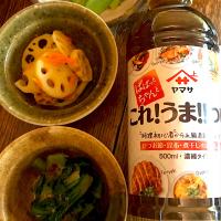 晩ごはん #これうまつゆを使って作った常備菜  #小松菜のおひたし  #蓮根きんぴら  #これうまつゆひろめ隊  #これうまキャンペーン  #これうまつゆ  #どんな野菜にも合うので作るのが楽しくなります♪