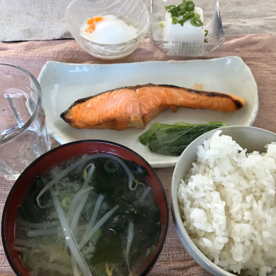 Snapdishの料理写真:焼鮭、温玉、奴、もやしとワカメのお味噌汁|純さん