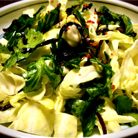 春キャベツ&春菊の塩昆布和え