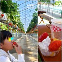 イチゴ狩り🍓