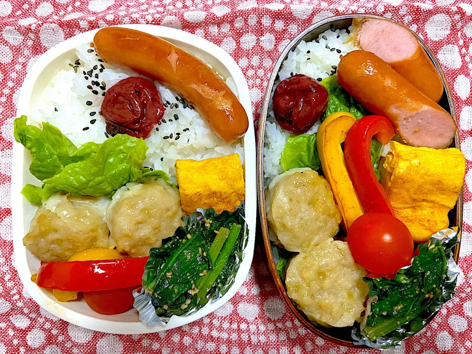 夫弁当🍱🍱冷食✨陳健一さん焼売🤤👍|ナナさん