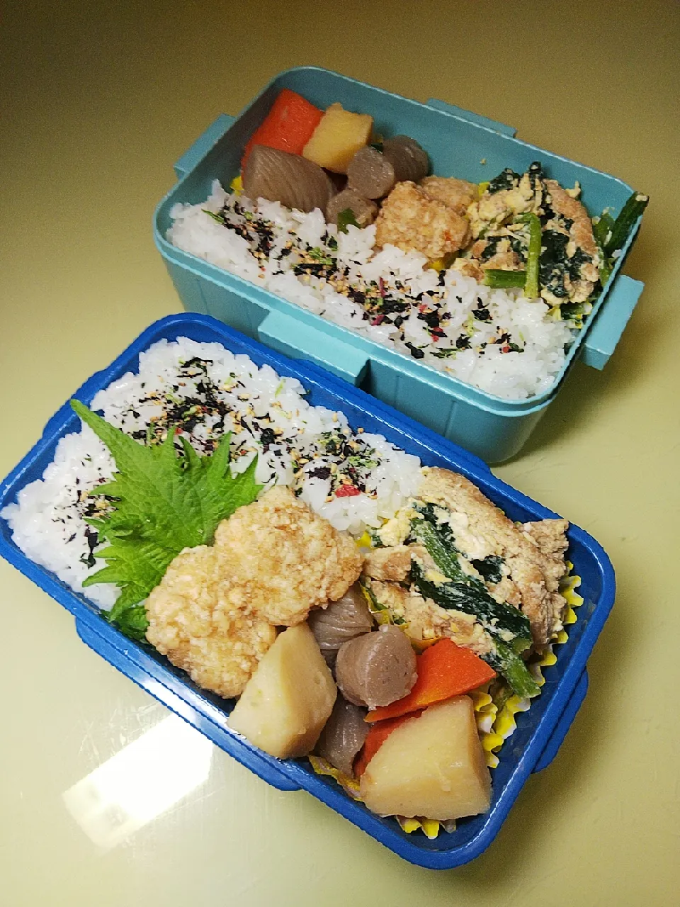 2/26 母娘弁当|けろよんさん