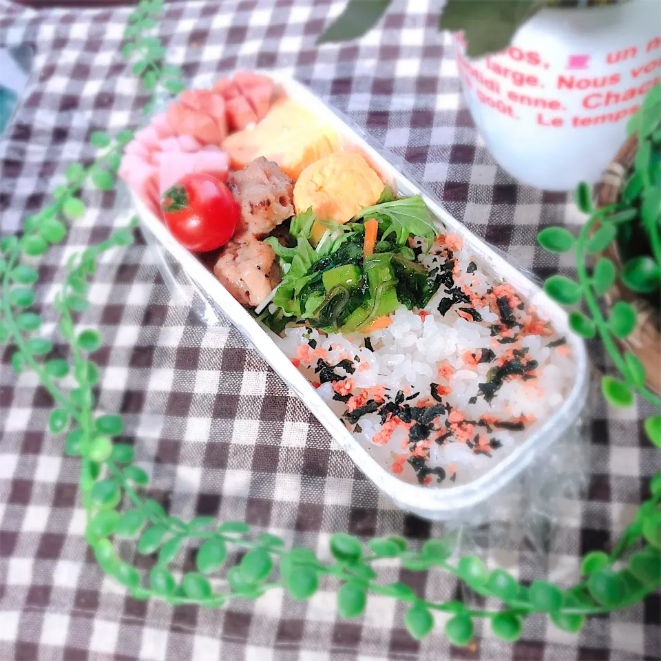 2020.2.26＊今日のお弁当|ぁゃ🍃さん