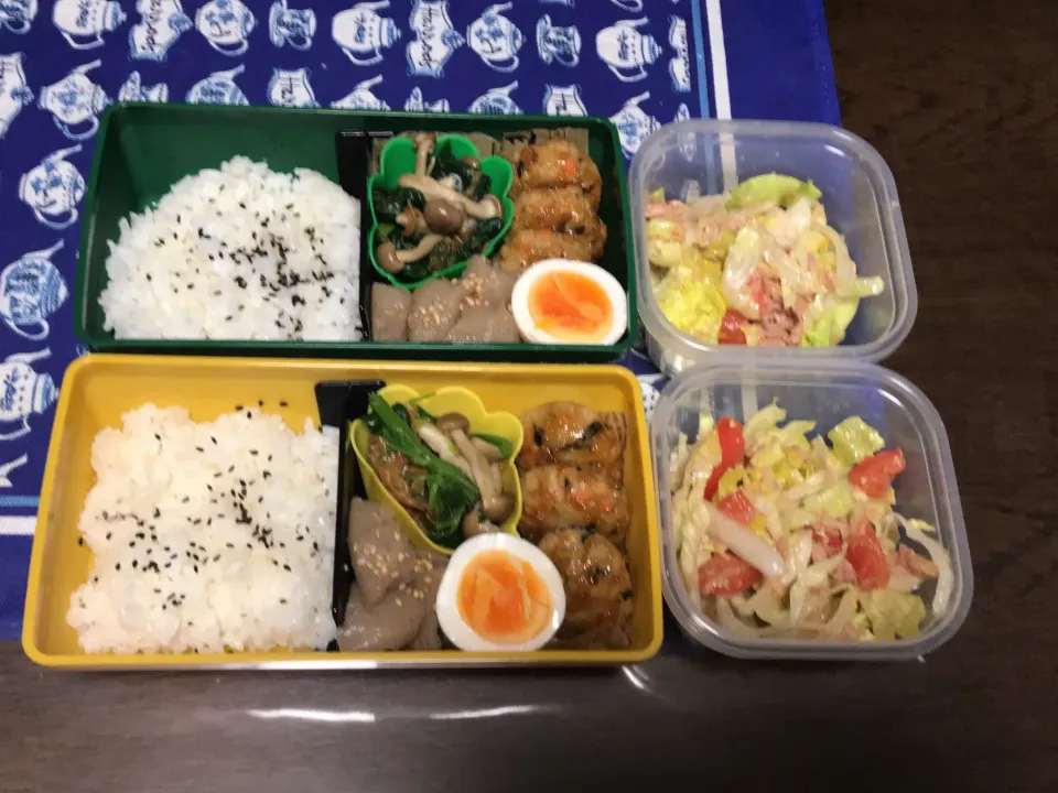 Snapdishの料理写真:おからハンバーグのお弁当|mettiさん