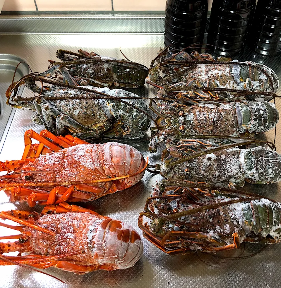 伊勢エビ🦐〜😋😋   合計8匹 お祝いに頂きました    お刺身とゆでてマルかじり😋👍|ブンタさん