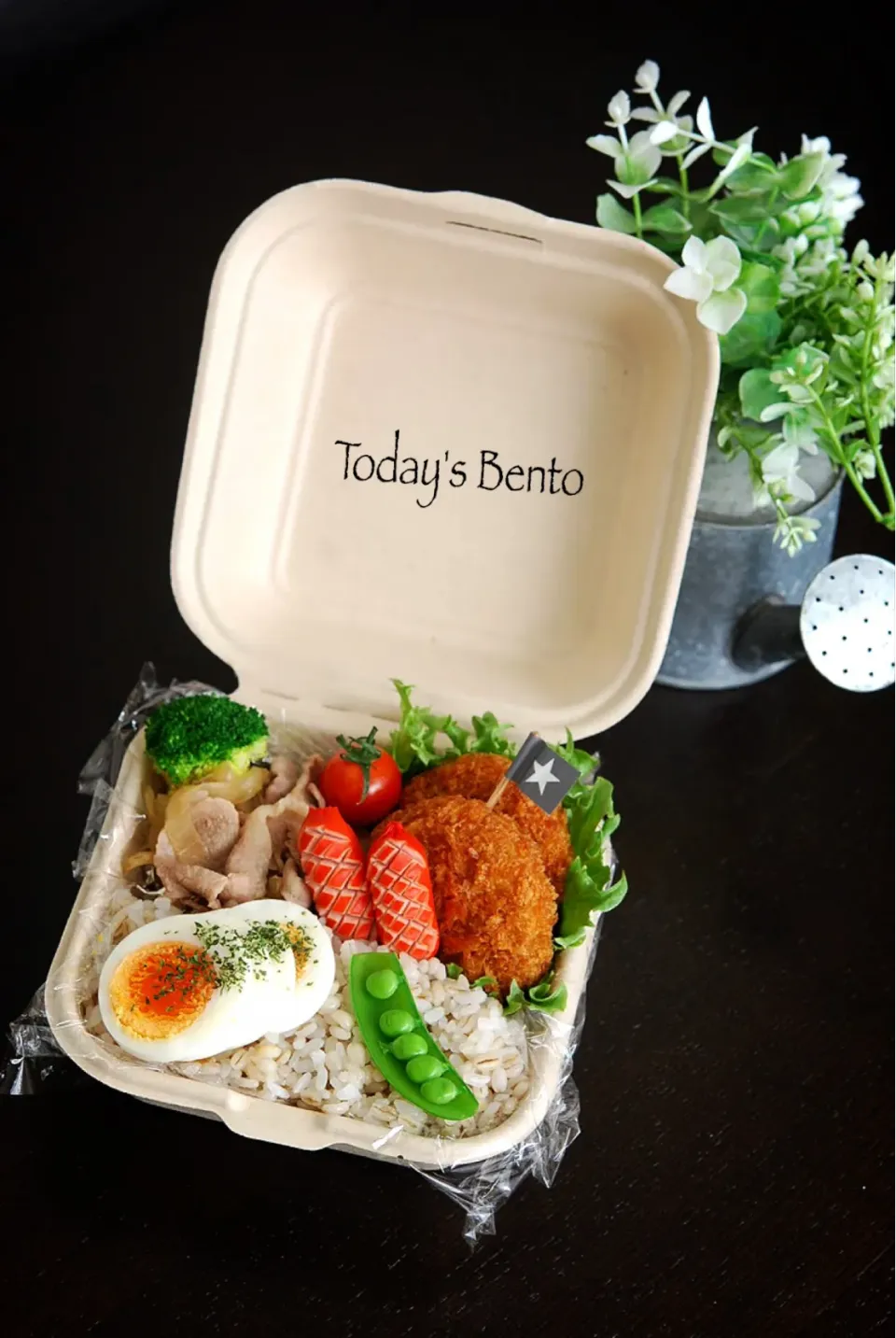 今日のお弁当🍱|りおさん