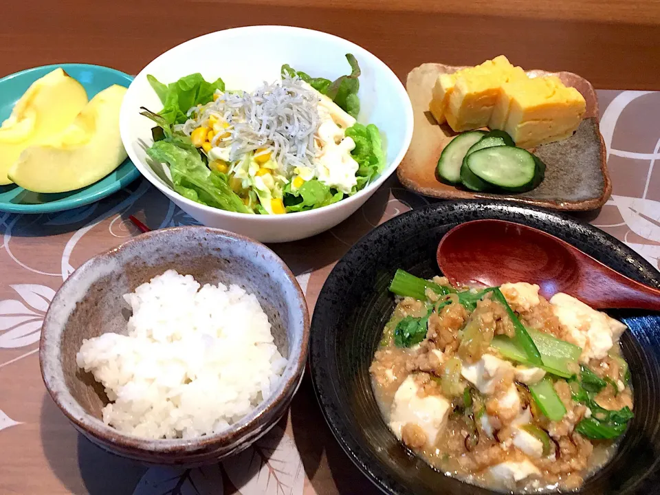 晩御飯
肉どうふ、卵焼き、マカロニサラダ、コールスローサラダ、シラス、サニーレタス、白米、フジリンゴ|かよちゃんさん